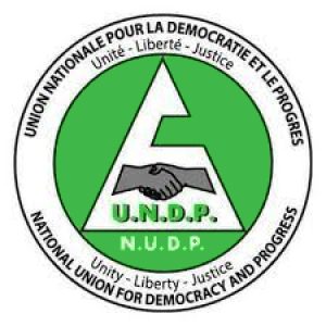 UNDP_Cameroun_logo